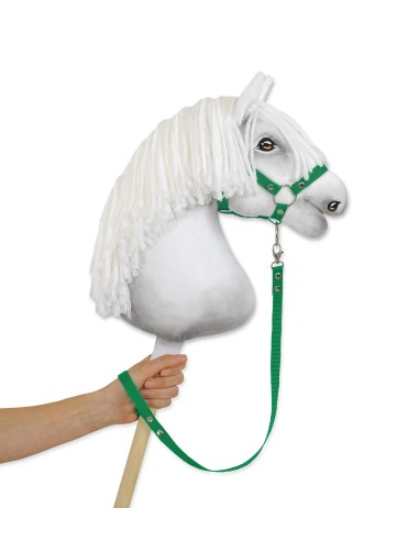 Tether for hobby horse made of webbing tape - green