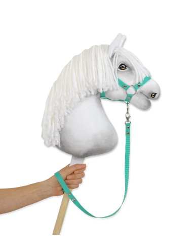 Tether for hobby horse made of webbing tape - mint