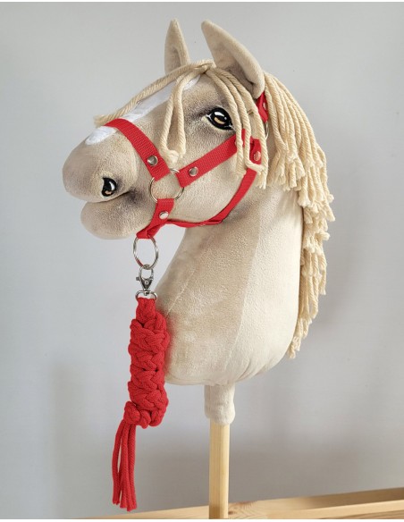 Set for Hobby Horse: the halter A3 + Tether made of cord - red