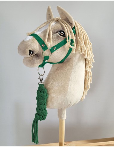 Set for Hobby Horse: the halter A3 + Tether made of cord - green