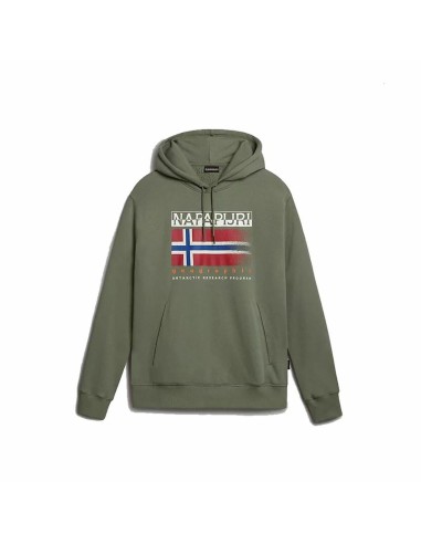 Jungen Sweater mit Kapuze Napapjiri B-Kreis H Dunkelgrün