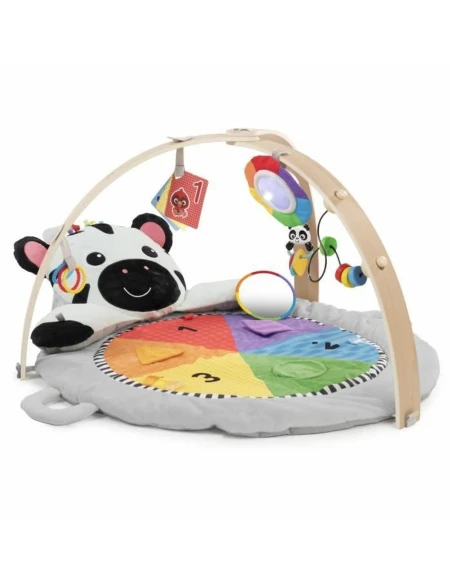 Play mat Baby Einstein