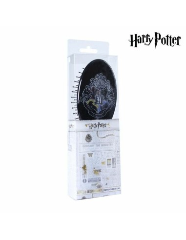 Pettine Harry Potter CRD-2500001307 Nero