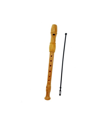 Recorder Reig