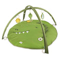 Activity Play Mat with Arches - Mr Dino