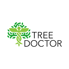 Dr. Tree